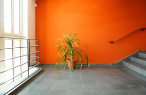 Custom Design Coating - Interior Painting